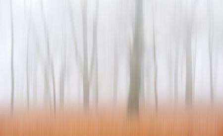 Misty Autumnimpression