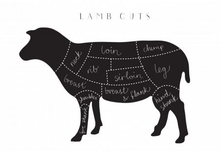 Lamb Cuts