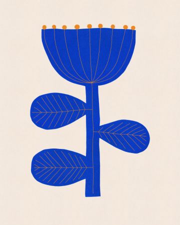 From the Secret Garden #1