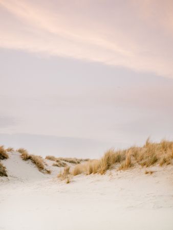 Ameland Dunes 3
