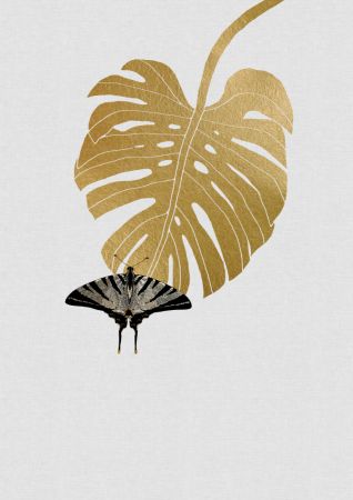 Butterfly & Monstera Leaf