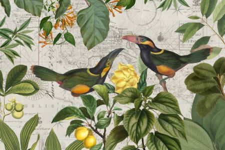 Parrots Nostalgic Journey 2