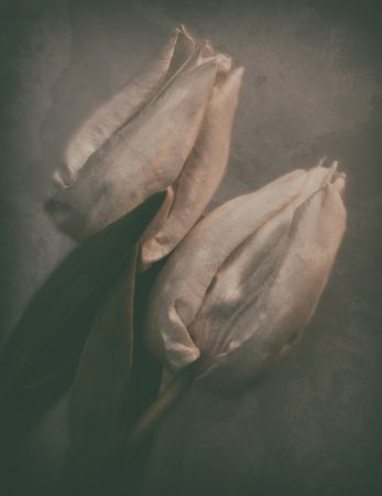 Love at first sight ...