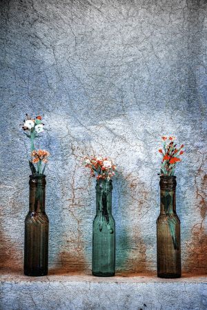 Lovely little flowers