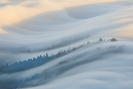 The Waves of Fogs