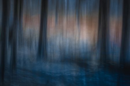 Look deep into nature