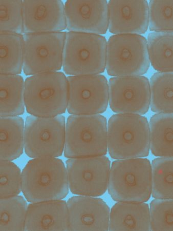 The Space In Between