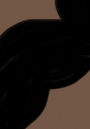 Black and Brown Shape