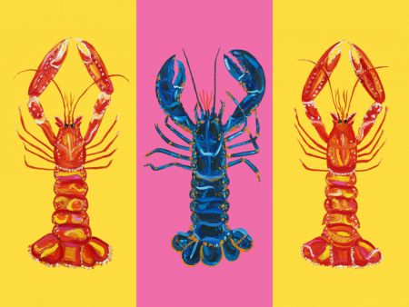 Lobster Langoustines Pop Art 2