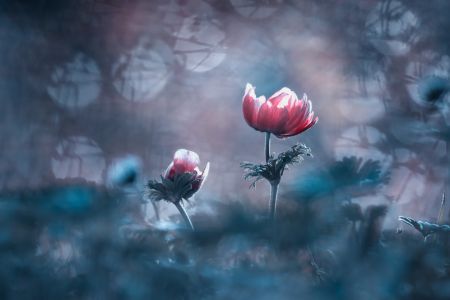 The past is already gone, the future is not yet here ...