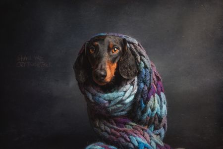 Melancholy,  or....Shall we cry together...