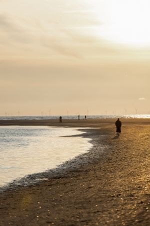Evening At the Beach 1