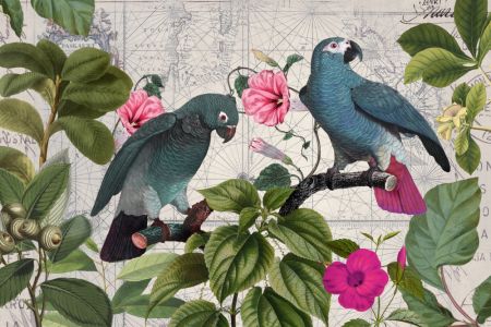 Parrots Nostalgic Journey Kopie