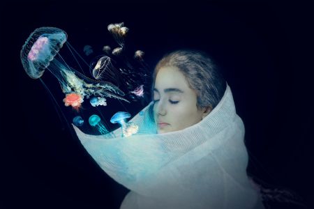 Jellyfish - The Queen of the sea