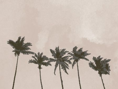Windy Palm Trees