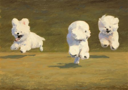 Three Dogs Running