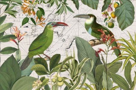 Parrots Nostalgic Journey 3