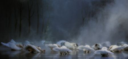 Von Rothbart's Curse