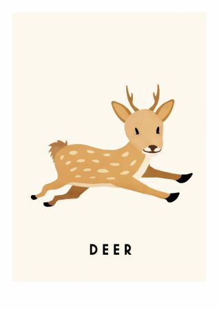 Deer