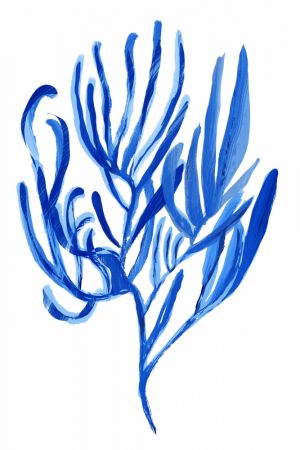 Blue Aquatic Plant Poster 4