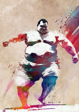 Sport Sumo Art