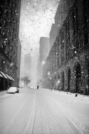New York Walker in Blizzard