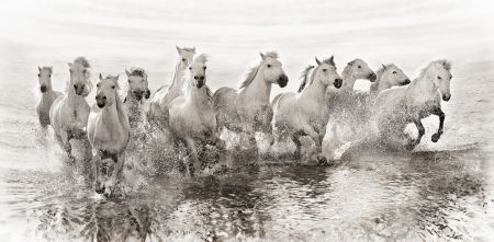 Illusion of power (13 horse power though)