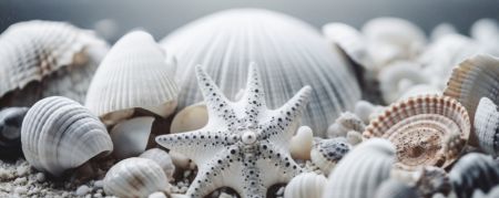 Beach Impressions No 35