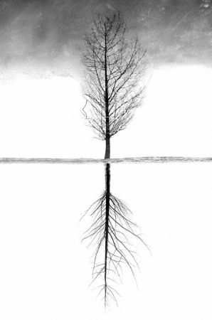 In Search of Themselves