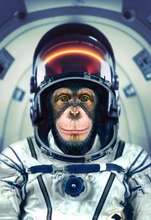 AstroMonkey