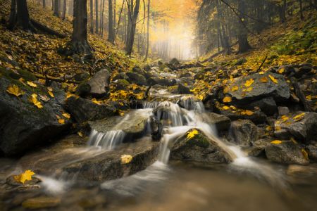 Autum Stream