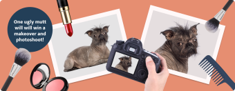 Our search for Britain’s ugliest dog