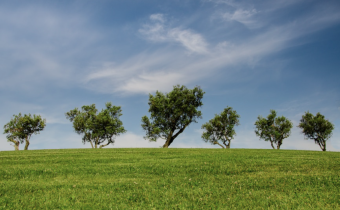 Spring photography tips