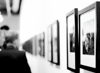 A Beginners Guide To Vector Art