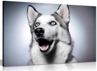 How to Print Your Pet on Canvas