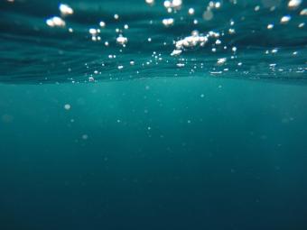 Aquatic art - famous projects to inspire you