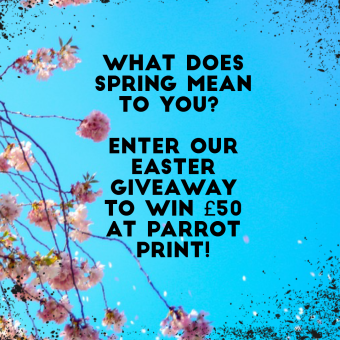 What does Spring mean to you?