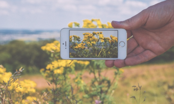 Getting Best Quality Results from Cheap Digital Photo Prints