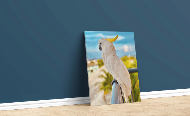 Why buy canvas Prints from parrotprint?